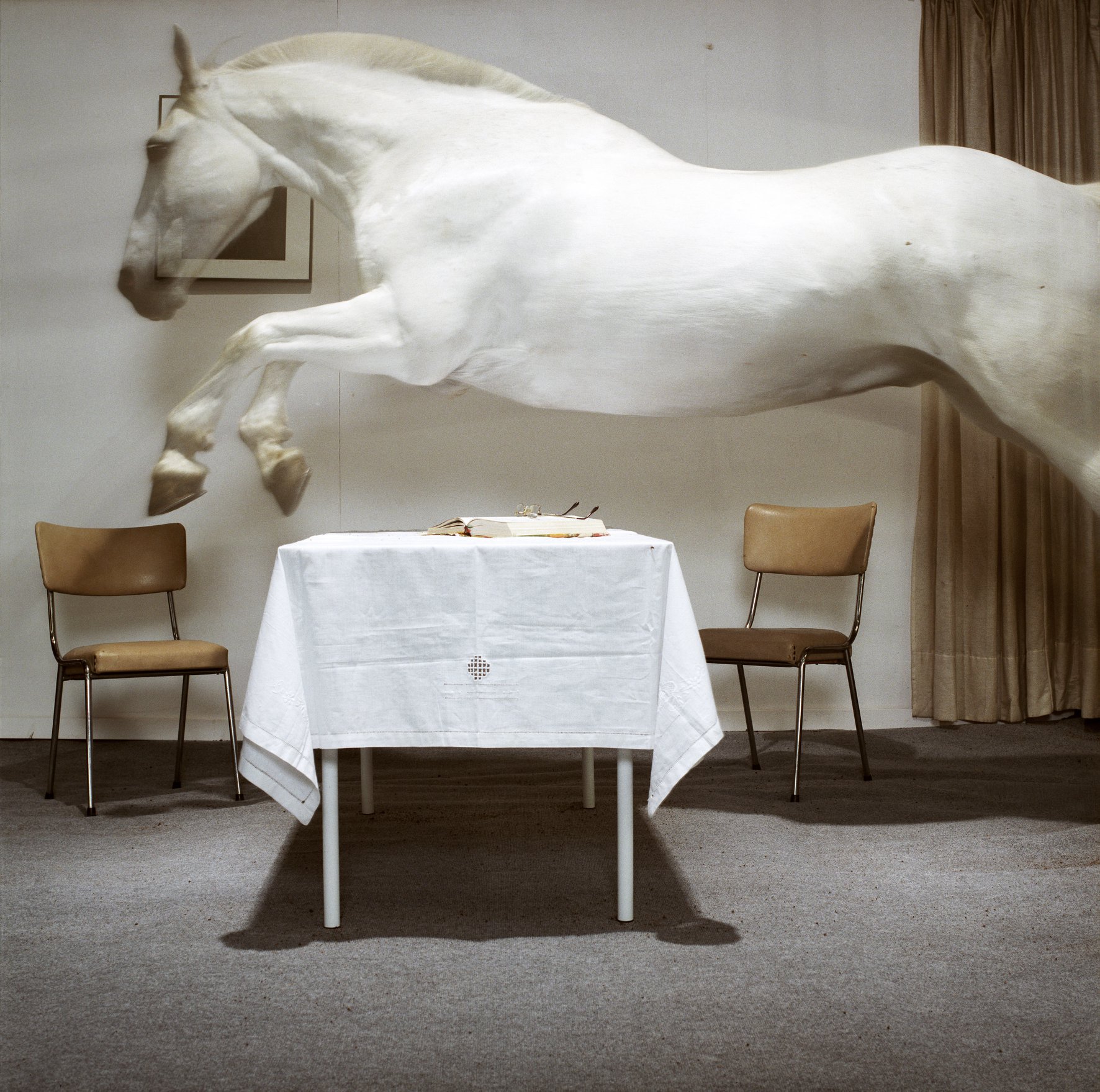 foto van Hannes Wallraven waarop een wit paard over een tafel springt