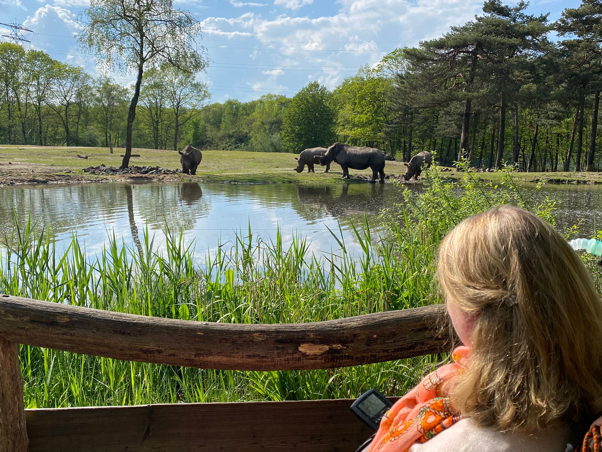 Judith kijkt naar vier neushoorns die aan het water staan